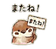 841111633