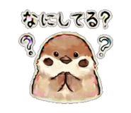 841111634
