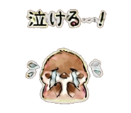 841111639
