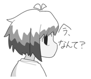 841112557
