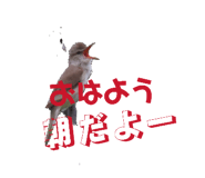 841112681