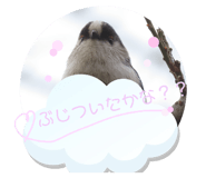 841112682