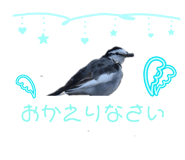841112686