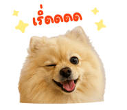 841112690