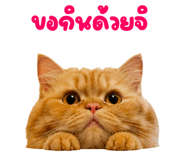 841112694