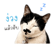 841112839