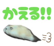 841113528