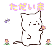 841113693