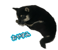841113699