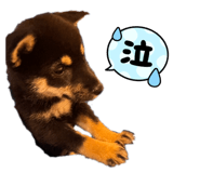 841113709