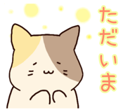 841113794