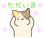 841113797