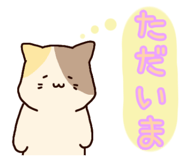 841113798