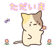 841113799