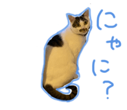 841114001