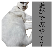 841114003