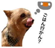 841114004