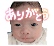 841114131