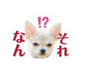 841114507