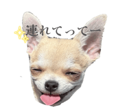 841114508