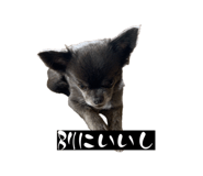 841114510