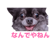 841114512