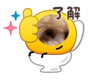 841114638