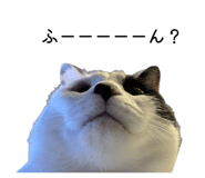 841114706
