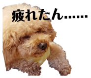 841115201