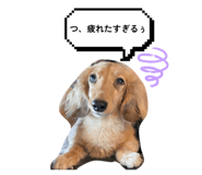841115275