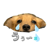 841115276