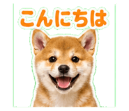 841115970