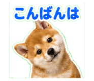 841115971