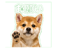841115974