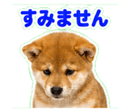 841115983