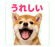 841115985