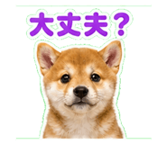 841115988