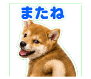 841115990