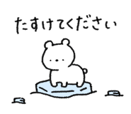 841118147