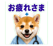 841119268