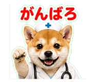 841119269