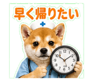 841119278