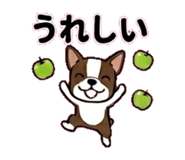 841119953