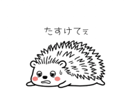 841119972