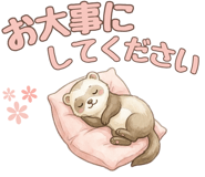 841120018