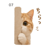 841120246