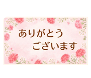 841120262