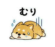 841120511
