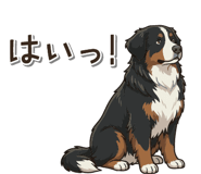 841121111