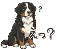 841121125
